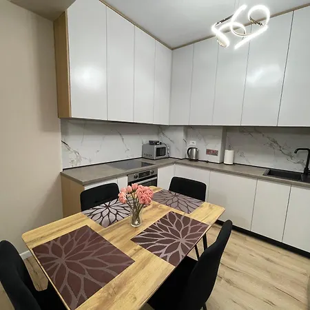 Modern And Cozy Oasis Near Center Apartment