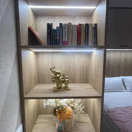 Modern And Cozy Oasis Near Center Apartment